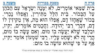 מסכת בכורות פרק ה משנה ב