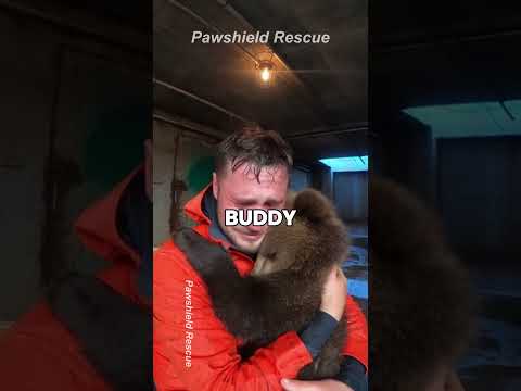 🐶😭 I Never Thought I'd Lose Him...  Landslide Tragedy #wildliferescue #pawshield #shorts