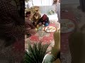 Makan Damai Tradisi Orang Sambas