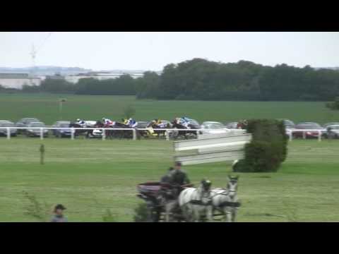 BR, 20. 5. 2017, 3. dostih - Cena stáje MERIDIAN