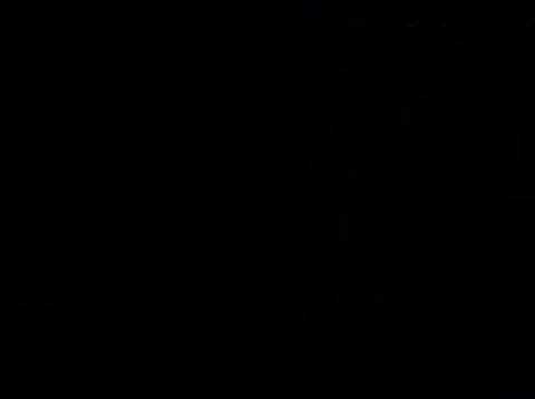 RE: Phytelephas macrocarpa