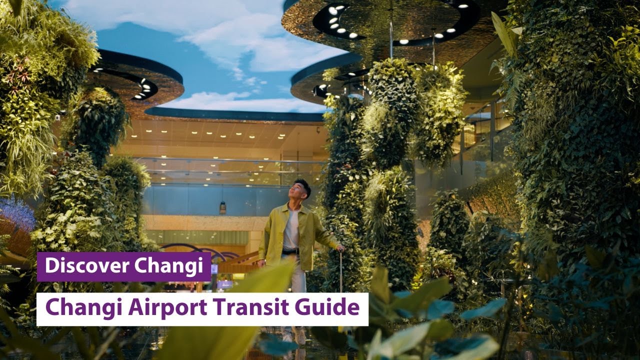 changi airport transfer video