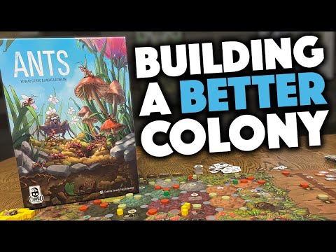 ANTS - We Just Played It!