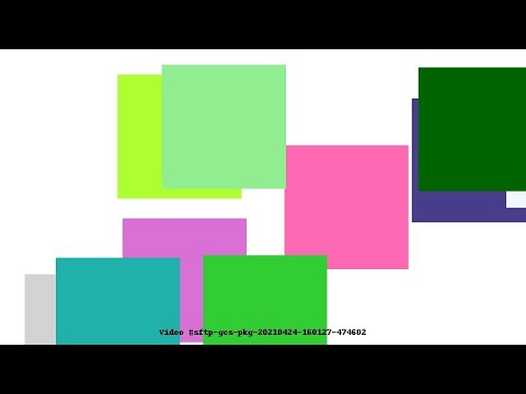 Video #sftp-gcs-pkg-20210424-160127-474602