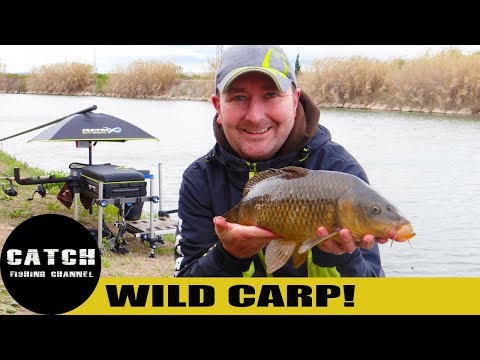 THE IBERIAN MASTERS 2018 - FULL FILM