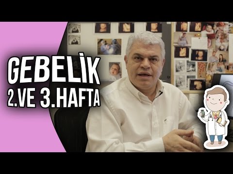Doktor Evinde - Gebelik 2. ve 3. Hafta