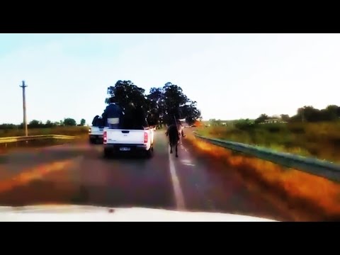 37° edición del raid federado "Club Uruguay de Fraile Muerto" sobre 90 km - Uruguay 23/11/2025