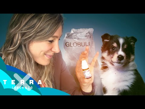 Homöopathie hilft Tieren – what? | Jasmina Neudecker