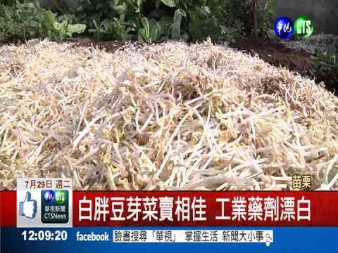 漂白豆芽菜賣30年! 黑心業者起訴