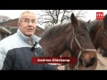 Puppyfeest in Klijndijk en Belgische paarden gered in Schier 19 januari