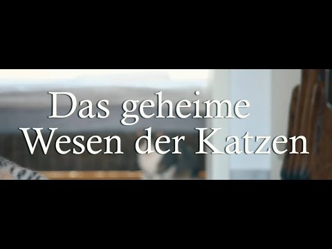 Das geheime Wesen der Katzen (Arte - 2021)