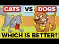 Why Are Dogs Better Than Cats?