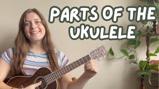 Parts of the Ukulele (Taught by a Music Teacher!)