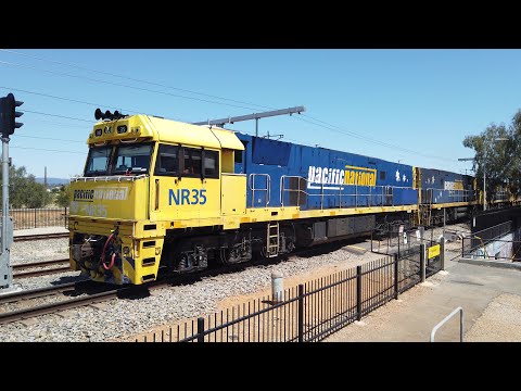 NR35 + NR99 + NR104 + NR55 + NR2 #5MP5