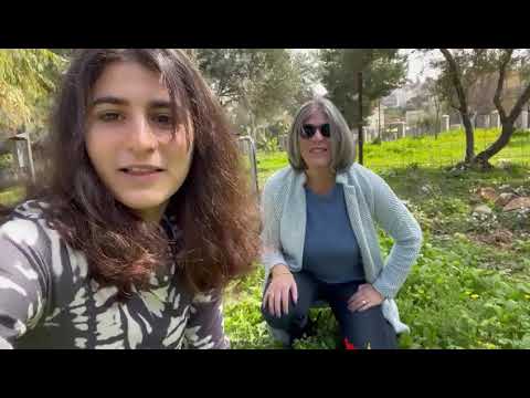 Hebrew Word of the Day: Kalanit