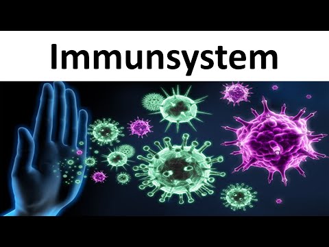 Immune System [Introduction / Summary] - [Biology, Upper Secondary Level]