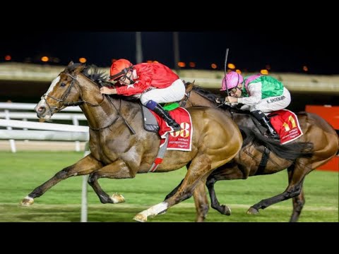 SPIRIT DANCER wins the 2024 Bahrain International Trophy (G2)