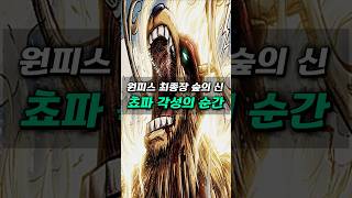 [ 원피스1177화 ] 전설 속 신의 힘을 각성하는 쵸파
