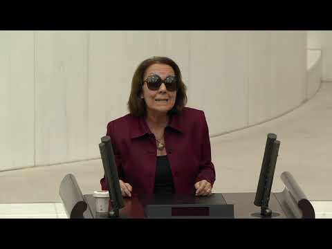 Prof. Dr. Serap Yazıcı Özbudun - Türkiye Büyük Millet Meclisi Genel Kurul Konuşması (24 Ekim 2023)
