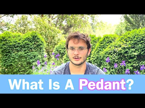 What is A Pedant? Learn Daily Vocabulary