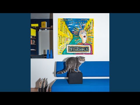 Het Volgende Moment - Spinvis