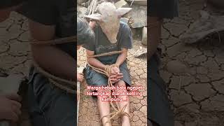 Download lagu warga heboh babi ngepet tertangkap dan diarak keliling kampung ..!! mp3 Download lagu warga heboh babi ngepet tertangkap dan diarak keliling kampung ..!! mp3