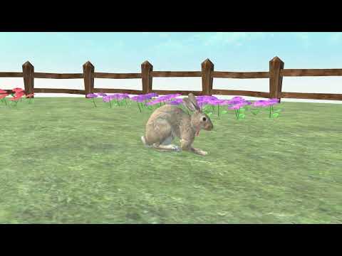 Adopt A Rabbit : Virtual Pet