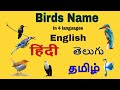 Birds Name In English Hindi Telugu Tamil Vocabulary Birds Name In 4 Languages