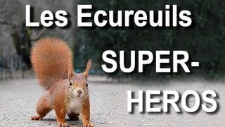 048 LES ÉCUREUILS SUPER-HÉROS