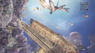 バグの動画  コメントみてね