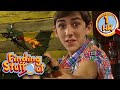 Dinosaurs And Dragons More Cool Reptiles Full Episodes Finding Stuff Out