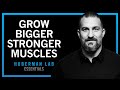 Build Muscle Size Increase Strength Improve Recovery Huberman Lab Essentials