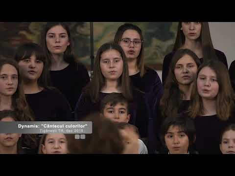 Dynamis - Cantecul culorilor, Special Edition