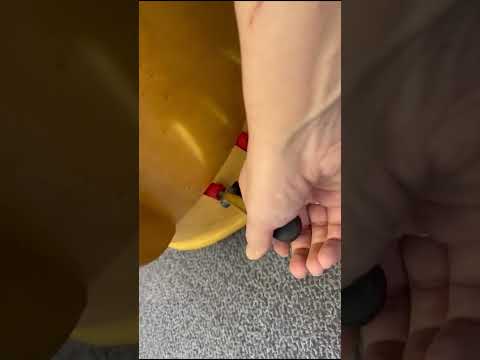 Understanding the Harp: What is a Pedal Harp? 🎶