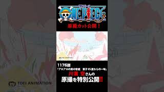 アニメ「#ONEPIECE」見放題配信への追加は木曜日‼️1176話‼️ #onepiece #原撮