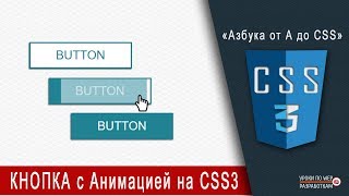 Кнопка на CSS / Button animation CSS3