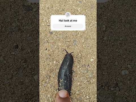 nature #youtuber #500kview #nature #shortsfeed #shorts #