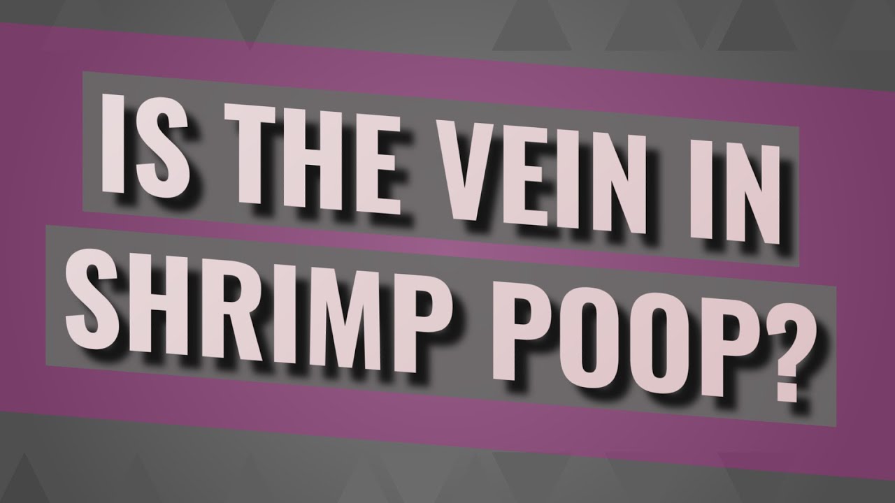 What Does Shrimp Poop Look Like 2 Know How Community