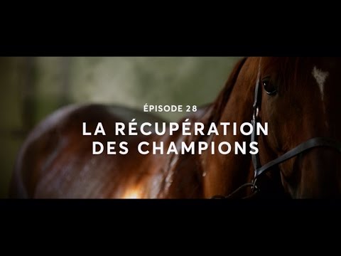 EpiqE Series - Episode 28 : La récupération des champions