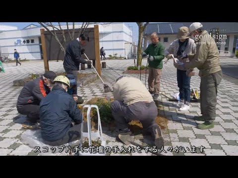 参加キャンペーン:渡り蝶をレポート!