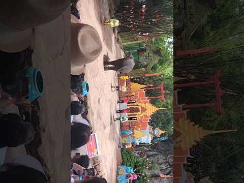 #thailand #thai #bangkok #animals #anime#elephant 