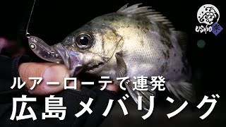 【USHIO岸】表層で数釣り、ボトムでサイズアップ！広島メバリングゲーム / 村上祥悟 去川直稔