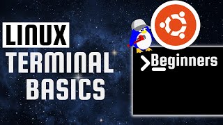Linux Terminal Basics | Navigate the File System on Ubuntu