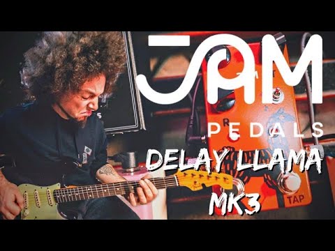 JAM Pedals Delay Llama mk.3 Hand Painted image 7