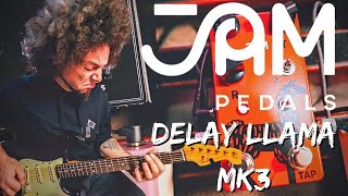 Video thumbnail for JAM Pedals | Delay Llama MK3 by Rabea Massaad