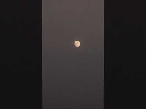 96% illuminated waxing gibbous moon 🌙 on 29 August 2023