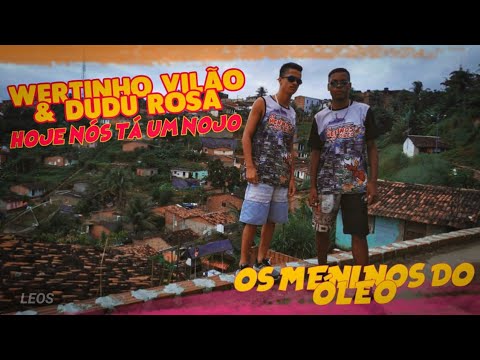 Wertinho vilão & Dudu Rosa - hoje nós tá um nojo