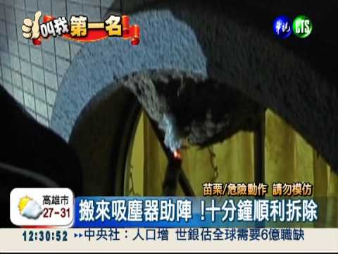 吸塵器捕虎頭蜂 義消一網打盡!