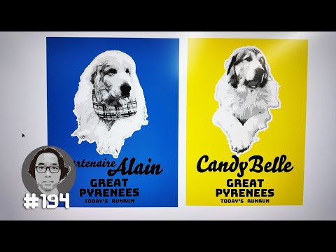 Vlog 194　夏へ向けてパルトネール・アランTシャツを作りました