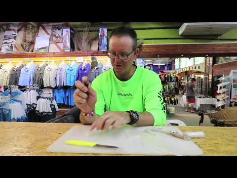 2018 BAITS -  Baiting up for Milk Sharks and Spinner Sharks 2